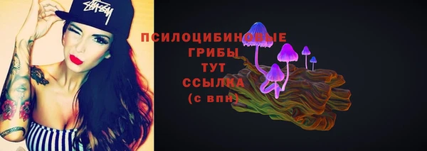 ECSTASY Алзамай