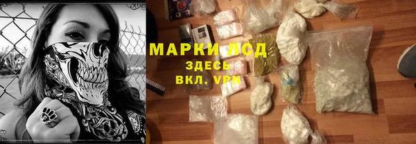 ECSTASY Алзамай
