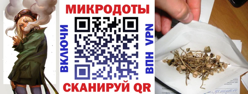 купить наркотики цена  кракен ССЫЛКА  Галлюциногенные грибы Psilocybe  Венёв 